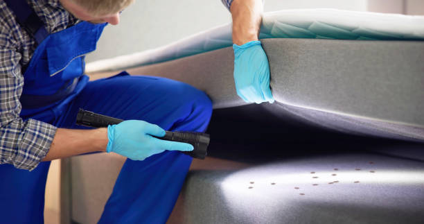 Reliable Manchester, VA Pest Control Solutions